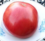 . Stripes of Syrnath (Полосы Сырната) 