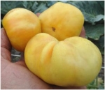 . Ghost (Призрак)