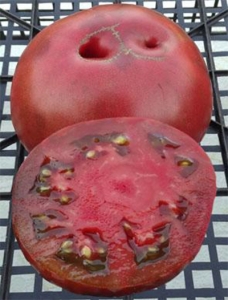 Семена сорта томата Radinilee (Радинили) - Гномы