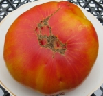 . Regina's Yellow (Желтый Регины)