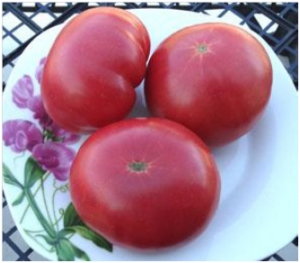 Семена томата сорта Willa’s Cariboo Rose (Роза Виллы Карибу)