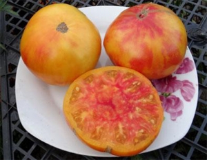 Семена томата сорта Розелла (Rozella) - Гномы