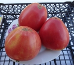 . Ludmilla’s Pink Heart (Розовое Сердце Людмилы) 