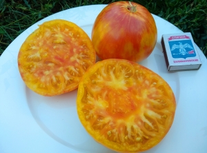 Семена томата сорта Mermaid (Русалка) - Гиганты двуцветные