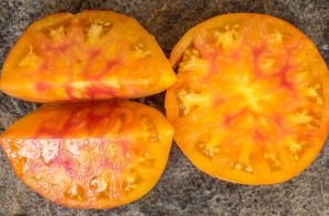 Семена томата сорта Dawson’s Russian Oxheart (Русский оксхарт Доусона) - Гиганты сердцевидные