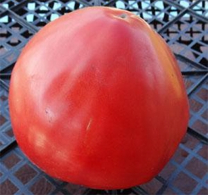 Семена сорта томата Сахарный гигант - Гиганты сердцевидные 