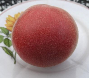 Семена сорта томата Седой принц - Бархатные томато-персики 