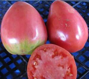 Семена сорта томата Сенсей - Гиганты сердцевидные низкорослые среднеспелые