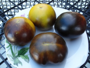 Семена томата сорта Wagner Blue Green (Сине-зеленый Вагнера) - Зеленоплодные (изумрудные) сорта