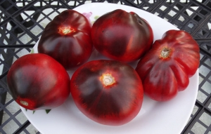 Семена томата сорта Синяя Груша (Blue Pear) - Синие