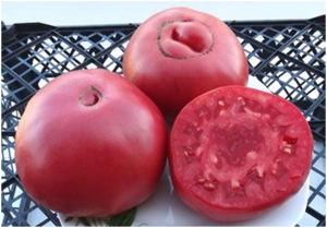 Семена томата сорта Sweetie Beefsteak (Сладчайший Бифштекс) - Гиганты розовые