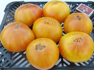 Семена сорта томата Совершенство Дагма - Гиганты двуцветные