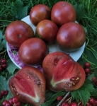 . Cuore Antici di Ravenna (Старинное сердце Равенны)