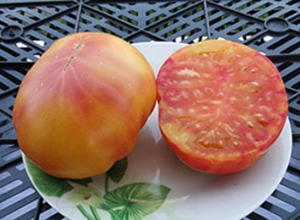 Семена томата сорта Old German (Старый немецкий) - Гиганты двуцветные