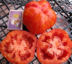 . Striped Stuffer (Страйпед стаффер)