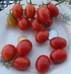 . Swing ting grape (Суин Тинг Грейп)