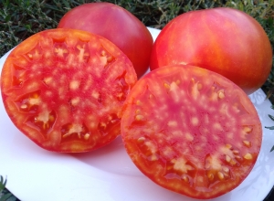 Семена томата сорта Tennessee Surprise - Гиганты двуцветные