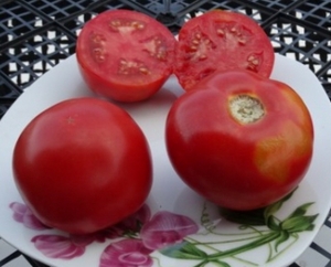 Семена томата сорта Тесей - Низкорослые кустовые