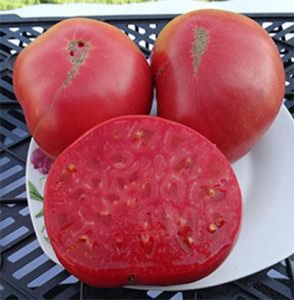 Семена сорта томата Tennessee Heirloom (Фамильный Теннесси) - Гиганты розовые