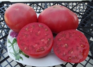 Семена томата сорта Черногория - Гиганты розовые