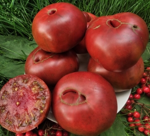 Семена сорта томата Zwart Heil Lekken (Черный Хейл Ликкен) - Шоколадные