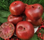 . Zwart Heil Lekken (Черный Хейл Ликкен)