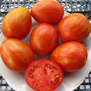 Семена сорта томата Шаймет криг (Schimmeig Creg) - Полосатые