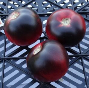 Семена сорта томата Southern Sparkle (Южная искорка) - Синие