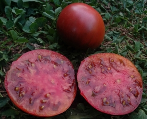 Семена сорта томата Abracazebra (Абраказебра) - Шоколадные