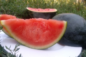 Семена арбуза сорта Симпатяга 