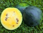 . Арбуз Чудо-ягода
