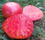 . Баба Шура (Aunt Shura)