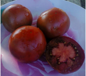 Семена томата сорта Баклажан помидор - Шоколадные