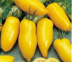 . Банан желтый