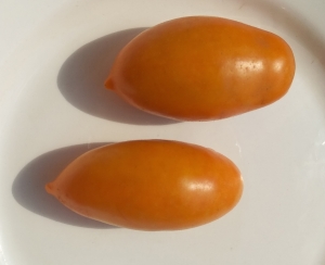 Семена томата сорта Банан желтый - Длинноплодные томаты