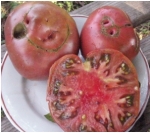 . Бордовый (Bordo)