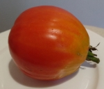 . Бочковой минусинский красный