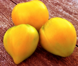 Семена сорта томата Бразильский принц - Гиганты сердцевидные 