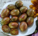 . Brussel Tomato festival (Брюссельский фестиваль томатов)