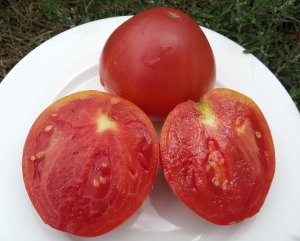 Семена сорта томата Бычье сердце Минусинское - Гиганты сердцевидные