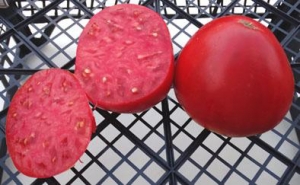 Семена томата сорта Волховский - Гиганты сердцевидные