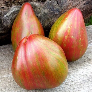 Семена сорта томата Волшебная радуга (Magic Rainbow) - Полосатые