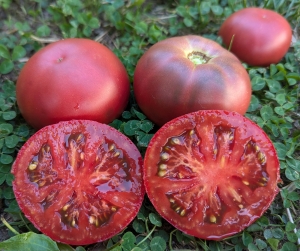 Семена сорта томата Boronia (Борония) - Гномы