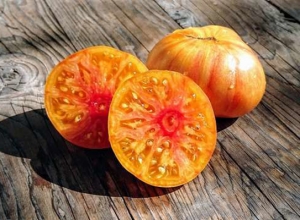 Семена сорта томата Dwarf Confetti (Гном Конфетти) - Гномы