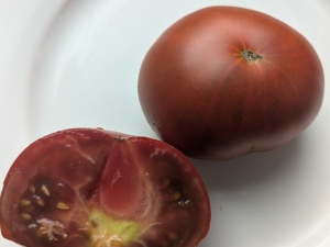 Семена томата сорта Dwarf Mulatte (Гном Мулатка) - Гномы