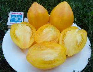 Семена томата сорта Dwarf Rose Beauty (Гном Прелестная Роза) - Гномы