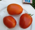 . Гранённое Бычье Сердце (Coeur De Boeuf A Facettes) 