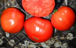 Семена томата сорта Грушанка минусинская - Гиганты красные