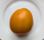 . Дуся оранжевая 