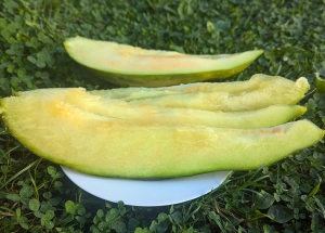Семена дыни сорта Банана